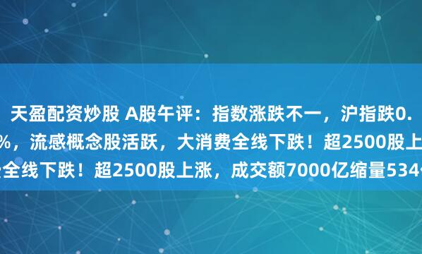 天盈配资炒股 A股午评：指数涨跌不一，沪指跌0.15%创业板指涨0.41%，流感概念股活跃，大消费全线下跌！超2500股上涨，成交额7000亿缩量534亿