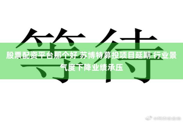 股票配资平台那个好 苏博特募投项目延期 行业景气度下降业绩承压