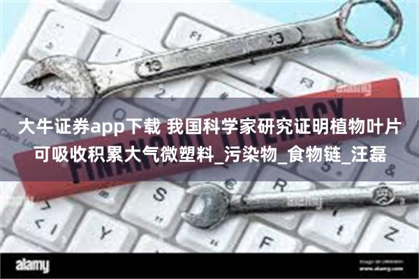 大牛证券app下载 我国科学家研究证明植物叶片可吸收积累大气微塑料_污染物_食物链_汪磊