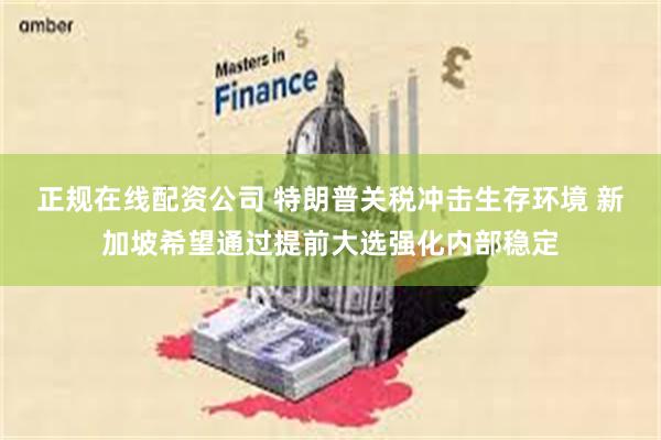 正规在线配资公司 特朗普关税冲击生存环境 新加坡希望通过提前大选强化内部稳定