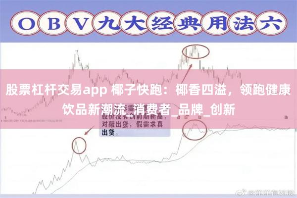 股票杠杆交易app 椰子快跑：椰香四溢，领跑健康饮品新潮流_消费者_品牌_创新