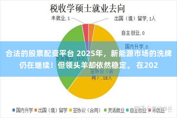 合法的股票配资平台 2025年，新能源市场的洗牌仍在继续！但领头羊却依然稳定。 在202