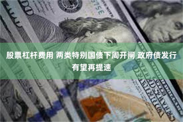 股票杠杆费用 两类特别国债下周开闸 政府债发行有望再提速