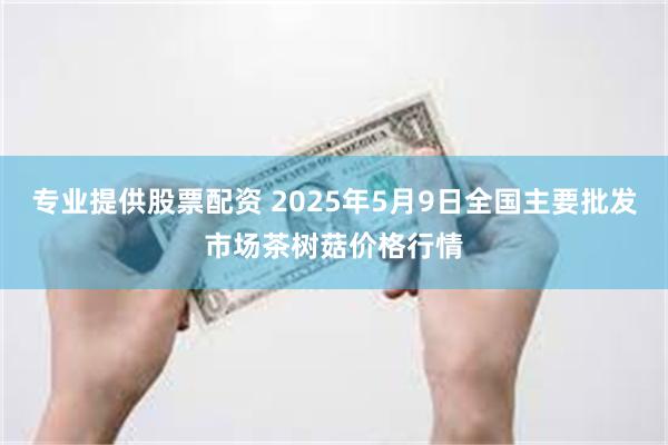 专业提供股票配资 2025年5月9日全国主要批发市场茶树菇价格行情