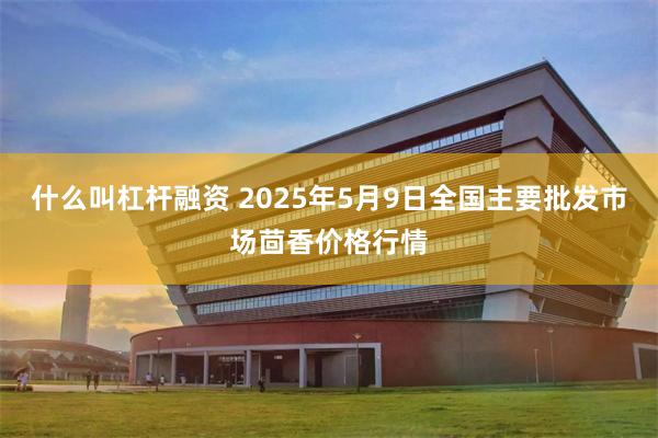 什么叫杠杆融资 2025年5月9日全国主要批发市场茴香价格行情