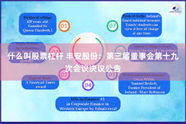 什么叫股票杠杆 丰安股份：第三届董事会第十九次会议决议公告