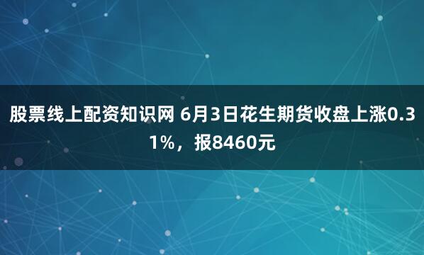 股票线上配资知识网 6月3日花生期货收盘上涨0.31%，报8460元
