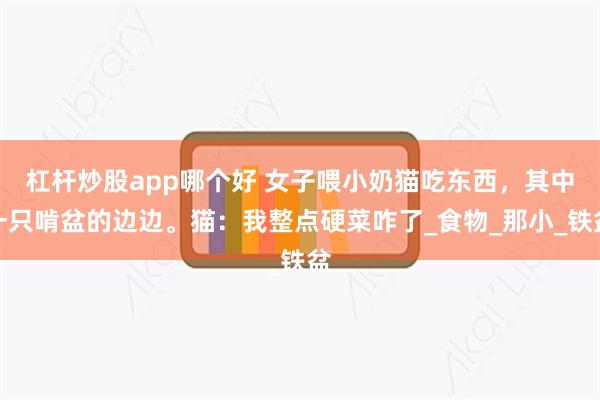 杠杆炒股app哪个好 女子喂小奶猫吃东西，其中一只啃盆的边边。猫：我整点硬菜咋了_食物_那小_铁盆