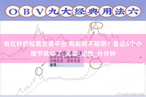 有杠杆的股票交易平台 狗聪明不聪明？看这5个小细节就够了_无辜_记性_分分钟