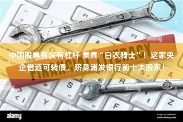 中国股票有没有杠杆 果真“白衣骑士”！这家央企借道可转债，跻身浦发银行前十大股东！