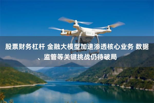 股票财务杠杆 金融大模型加速渗透核心业务 数据、监管等关键挑战仍待破局