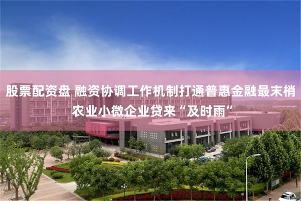 股票配资盘 融资协调工作机制打通普惠金融最末梢 农业小微企业贷来“及时雨”