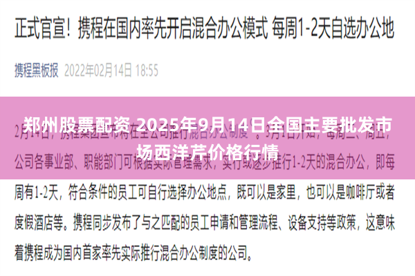郑州股票配资 2025年9月14日全国主要批发市场西洋芹价格行情