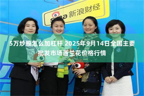5万炒股怎么加杠杆 2025年9月14日全国主要批发市场西兰花价格行情