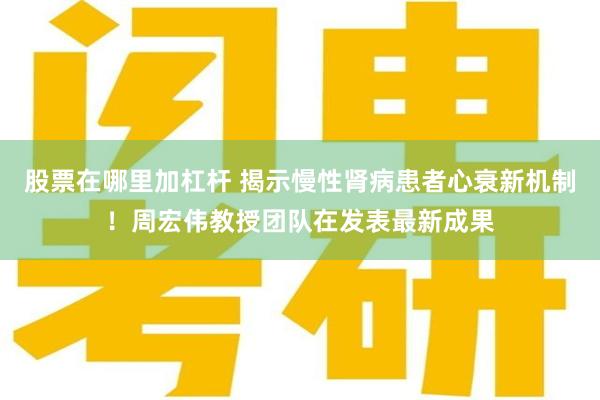 股票在哪里加杠杆 揭示慢性肾病患者心衰新机制！周宏伟教授团队在发表最新成果