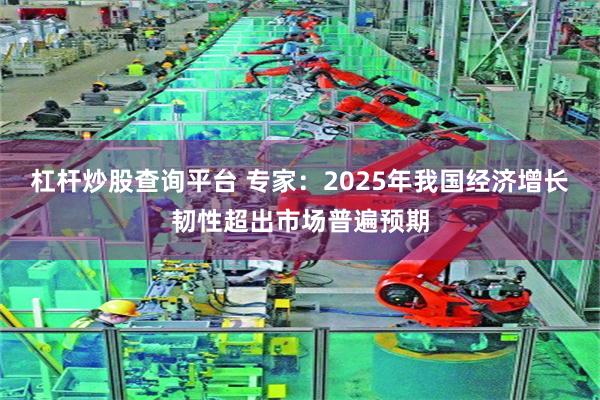 杠杆炒股查询平台 专家：2025年我国经济增长韧性超出市场普遍预期
