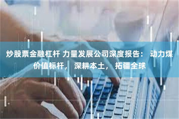 炒股票金融杠杆 力量发展公司深度报告： 动力煤价值标杆， 深耕本土， 拓疆全球
