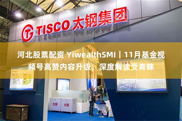 河北股票配资 YiwealthSMI｜11月基金视频号高赞内容升级，深度解读受青睐