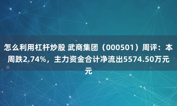 怎么利用杠杆炒股 武商集团(000501)周评:本周跌2.74%,主力资金合计净流出5574.50万元